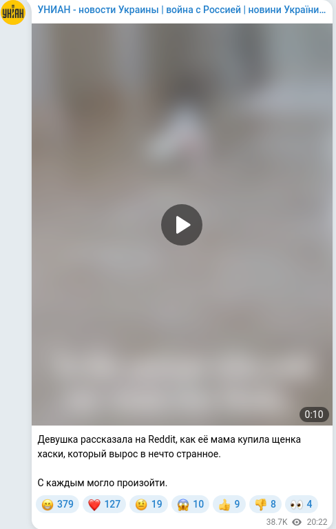 Telegram publication screenshot