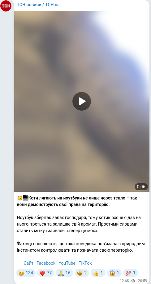 Скріншот Telegram-публікації