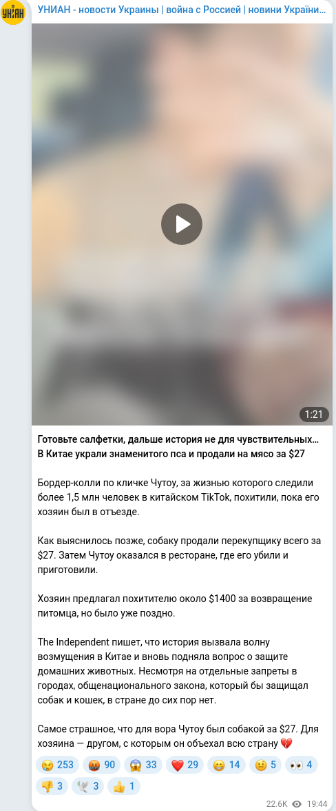 Telegram publication screenshot