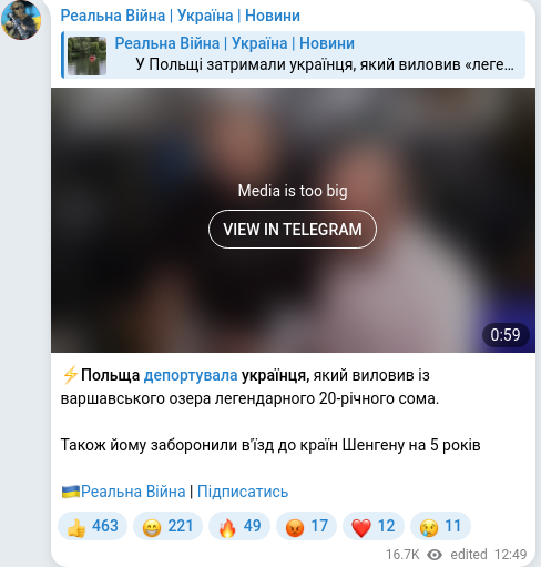 Telegram publication screenshot