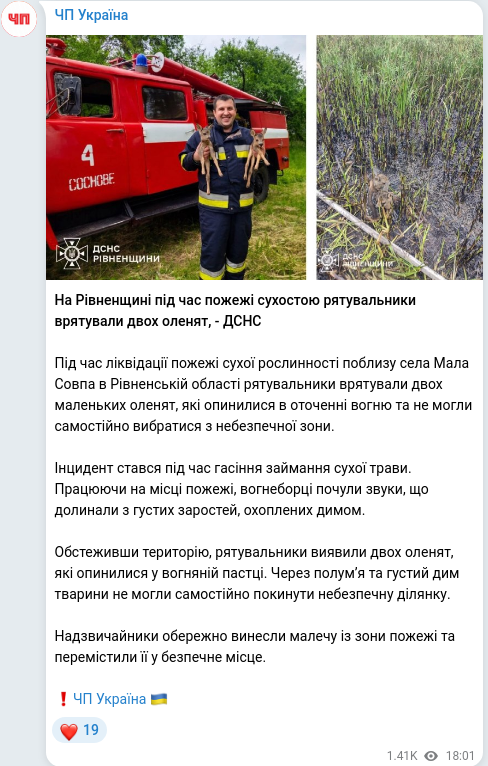 Telegram publication screenshot