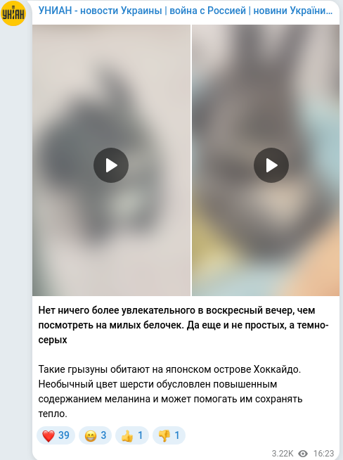 Telegram publication screenshot