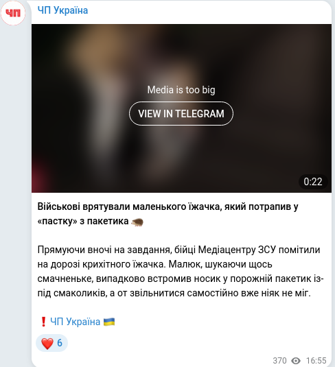 Telegram publication screenshot