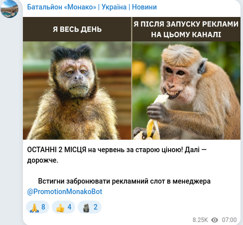Telegram publication screenshot