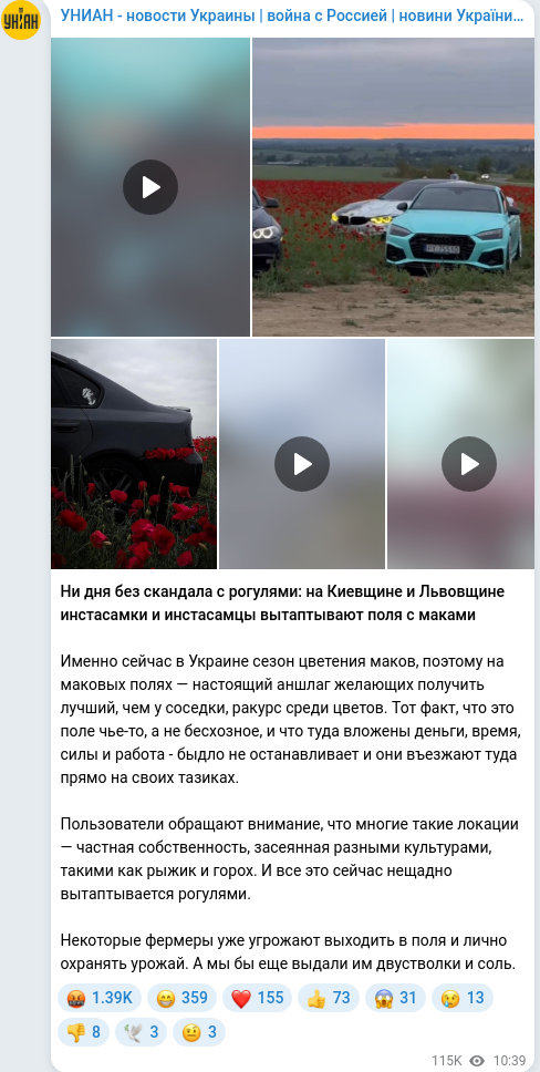 Telegram publication screenshot