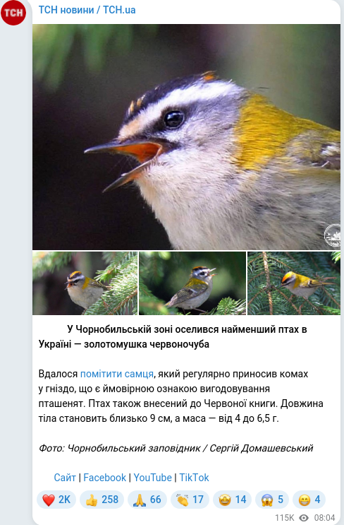 Telegram publication screenshot