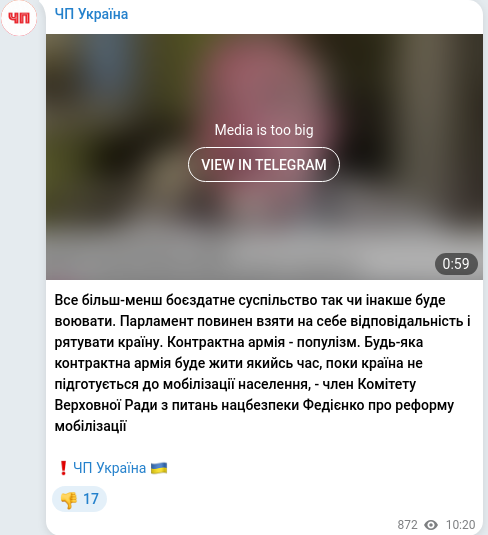 Telegram publication screenshot