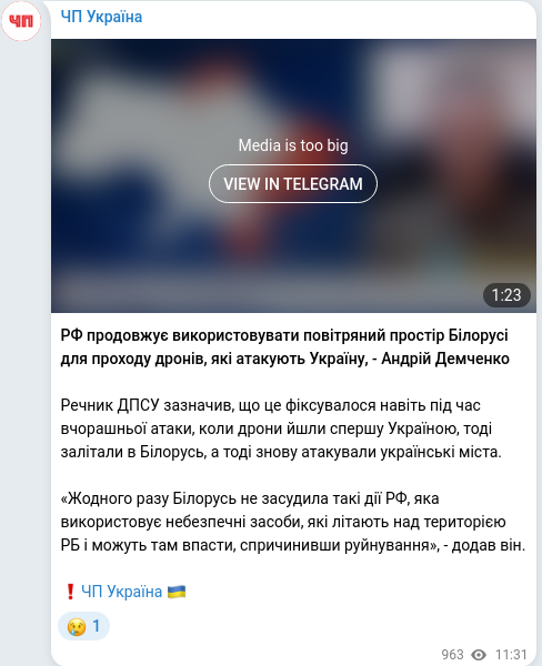 Telegram publication screenshot