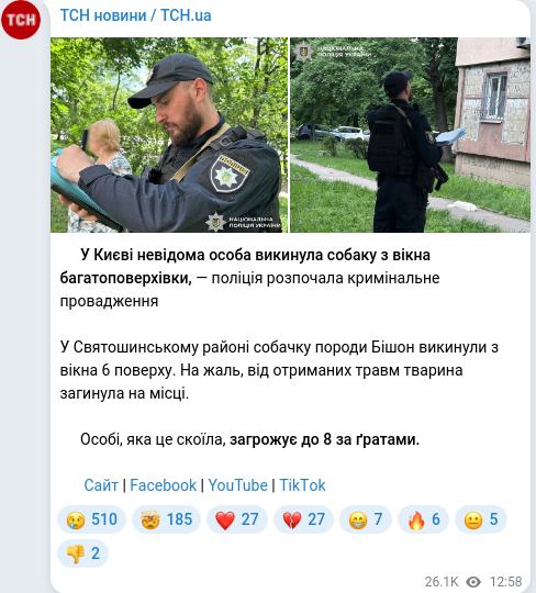 Telegram publication screenshot