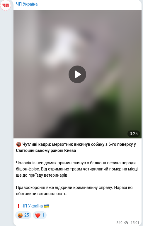 Telegram publication screenshot