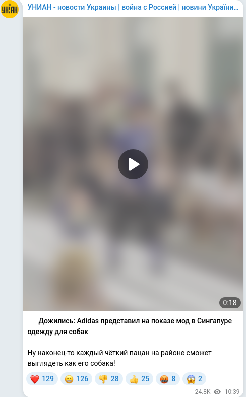 Telegram publication screenshot