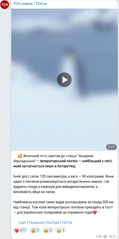 Скріншот Telegram-публікації