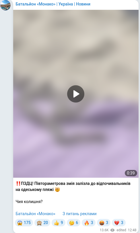 Telegram publication screenshot