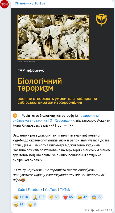 Telegram publication screenshot