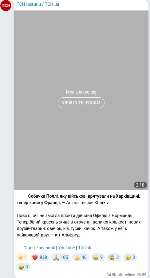Скріншот Telegram-публікації