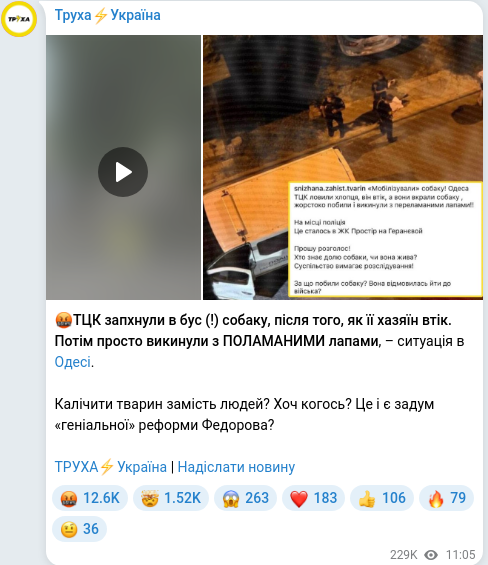 Telegram publication screenshot