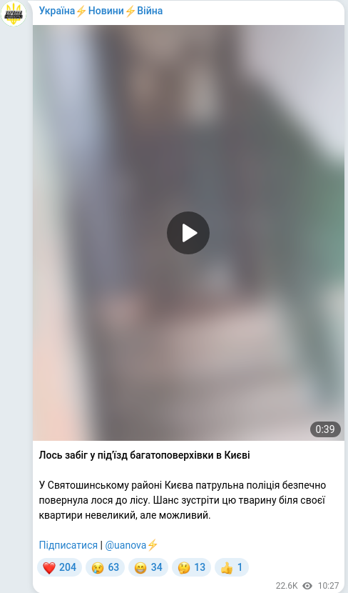Telegram publication screenshot