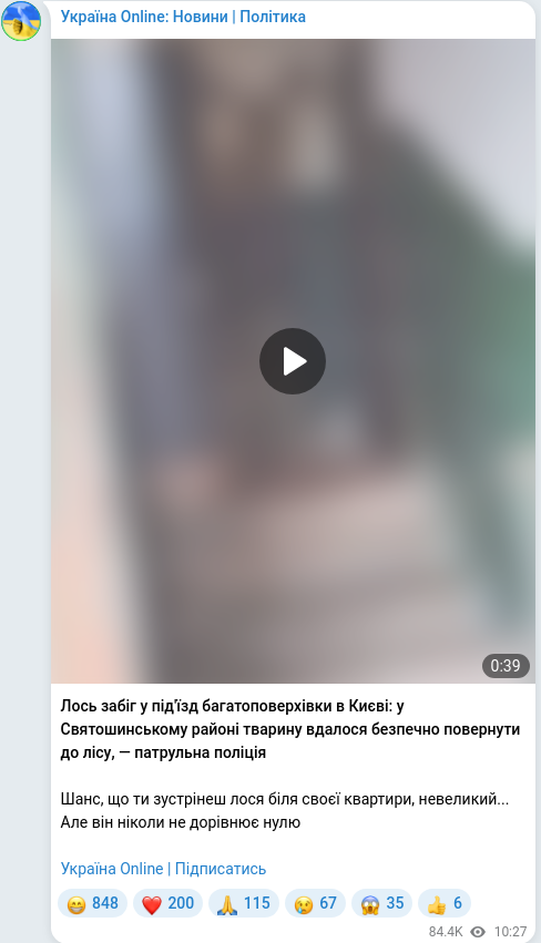 Telegram publication screenshot