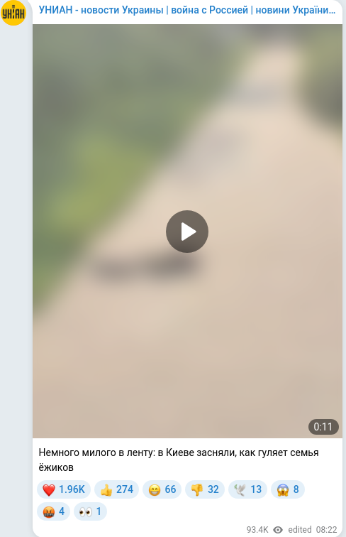 Telegram publication screenshot