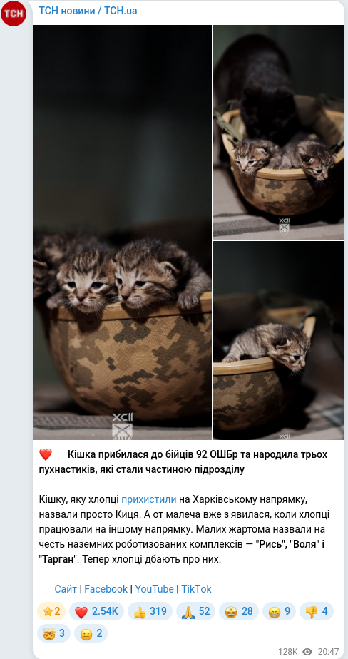 Telegram publication screenshot