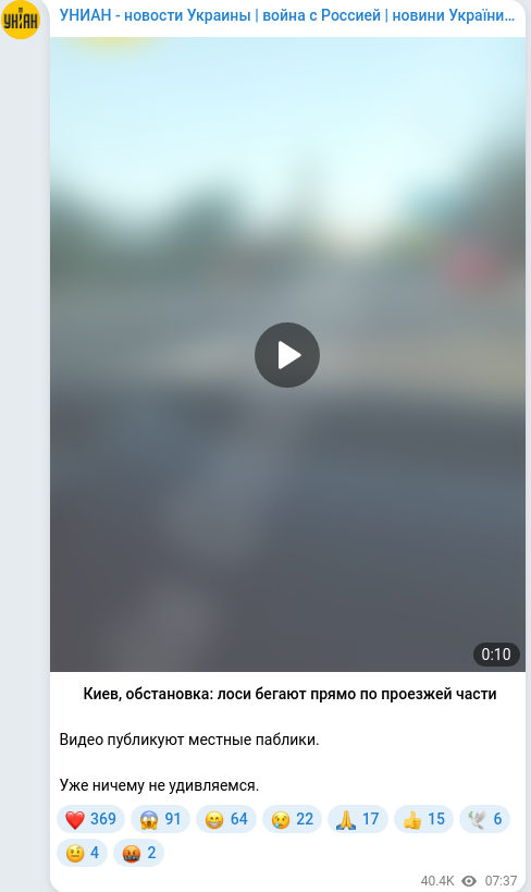 Telegram publication screenshot