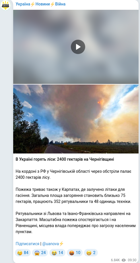 Telegram publication screenshot