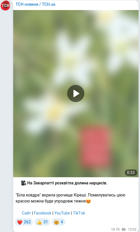 Скріншот Telegram-публікації