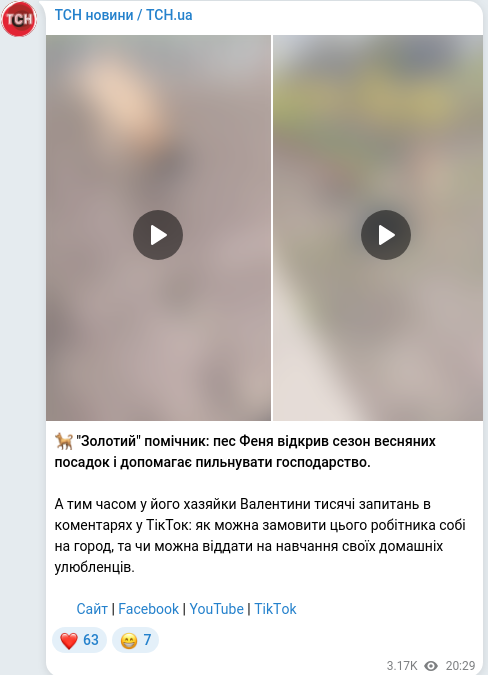 Скріншот Telegram-публікації