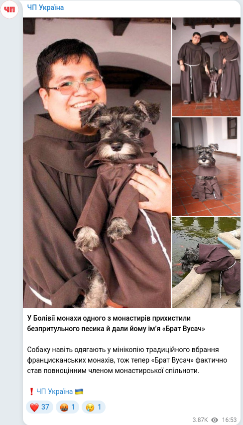 Telegram publication screenshot