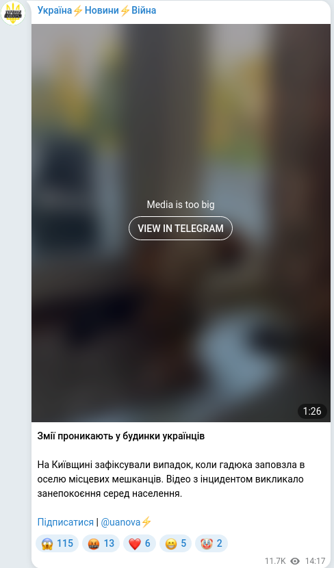 Telegram publication screenshot
