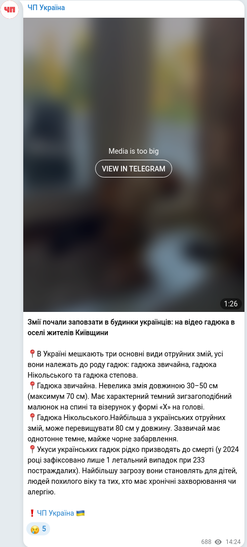 Telegram publication screenshot