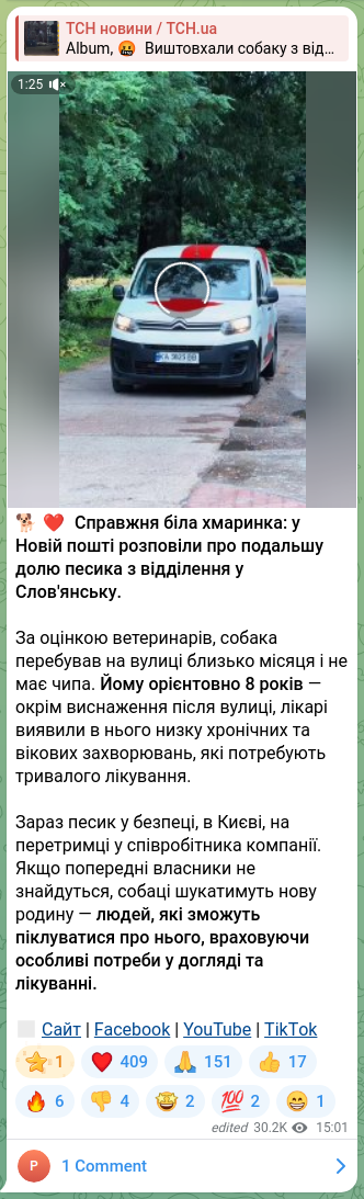 Скріншот Telegram-публікації: 🐕❤️ Справжня біла хмаринка: у Новій пошті розповіли про подальшу долю песика з…