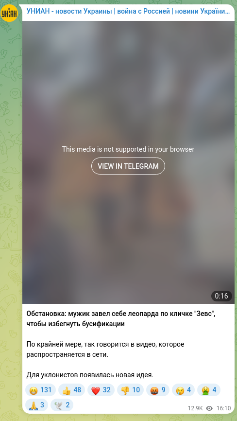 Скріншот Telegram-публікації: Обстановка: мужик завел себе леопарда по кличке "Зевс", чтобы избегнуть бусифик…
