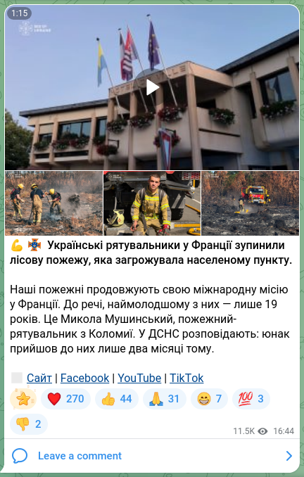 Скріншот Telegram-публікації: 💪🆘 Українські рятувальники у Франції зупинили лісову пожежу, яка загрожувала…