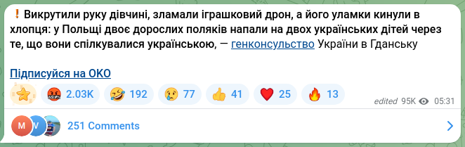 Скріншот Telegram-публікації: ❗️Викрутили руку дівчині, зламали іграшковий дрон, а його уламки кинули в хлоп…