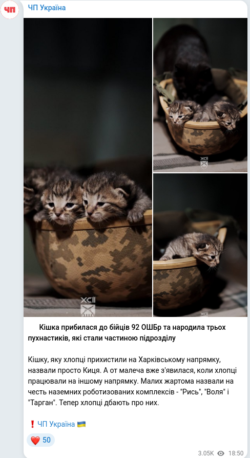 Telegram publication screenshot