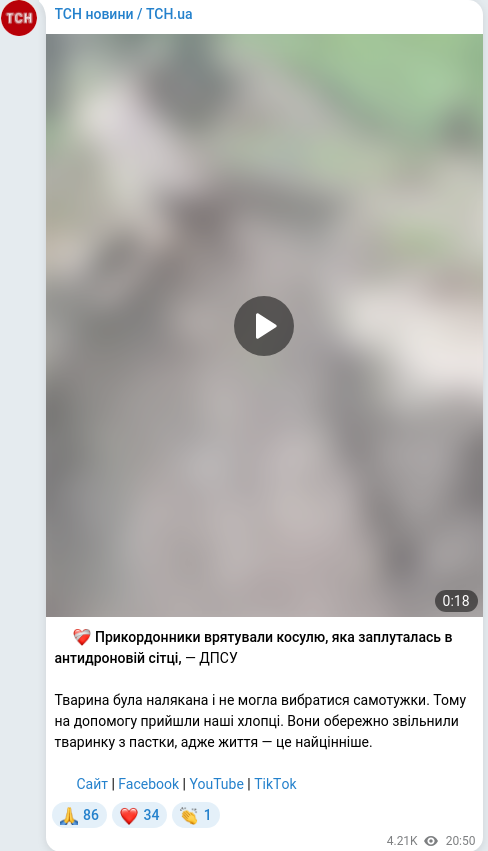 Telegram publication screenshot