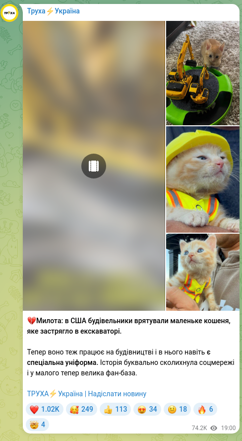 Скріншот Telegram-публікації: 💔Милота: в США будівельники врятували маленьке кошеня, яке застрягло в екскава…