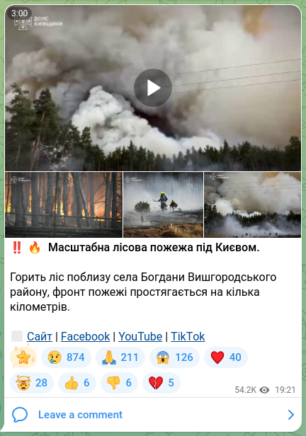 Скріншот Telegram-публікації: ‼️🔥 Масштабна лісова пожежа під Києвом. Горить ліс поблизу села Богдани Вишгор…