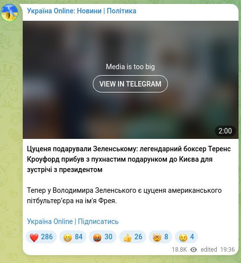 Screenshot of a Telegram post: Zelenskyy Volodymyr Oleksandrovych — A puppy was gifted to Zelensky: legendary boxer Terence…