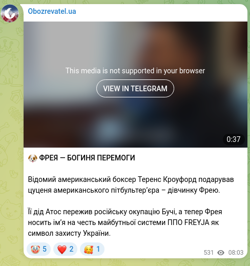 Screenshot of a Telegram post: 🐶 FREYA — GODDESS OF VICTORY Famous American boxer Terence Crawford gifted a p…
