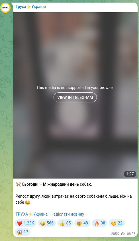 Скріншот Telegram-публікації: 🐕 Сьогодні – Міжнародний день собак. Репост другу, який витрачає на свого соба…