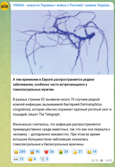 Скріншот Telegram-публікації: А тем временем в Европе распространяется редкое заболевание, особенно часто вст…