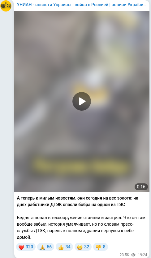 Telegram publication screenshot
