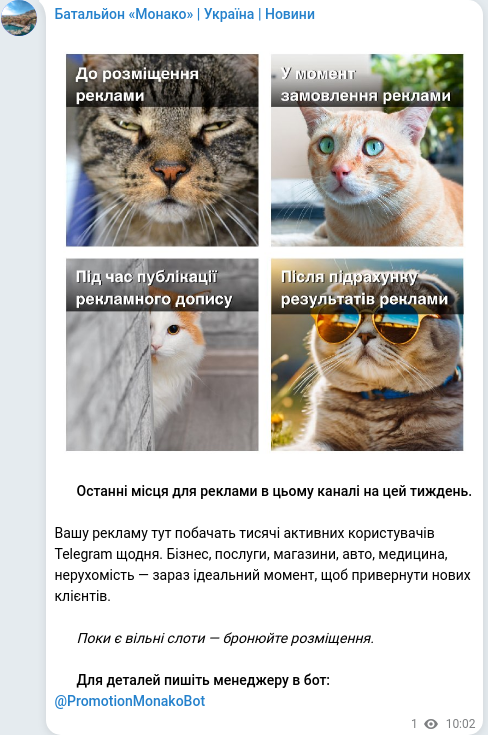 Telegram publication screenshot