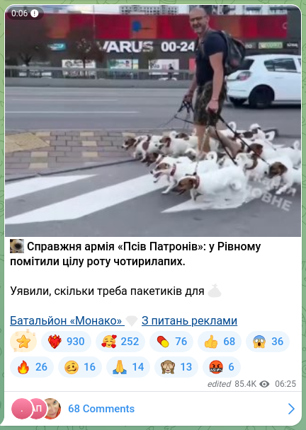 Screenshot of a Telegram post: 😘 Справжня армія «Псів Патронів»: у Рівному помітили цілу роту чотирилапих. Уя…